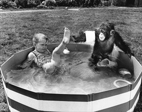 Girl and chimpanzee in paddling pool