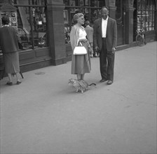 A woman leads her cat on a leash