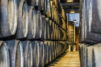 Plenty of port wine barrels in a wine cellar in Vila Nova de Gaia