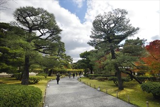 Garden with old black pine trees at Byodo-in temple