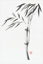 Bamboo stalk with leaves