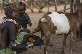 Young woman with toddler milking goats