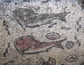Mosaic with fish figure