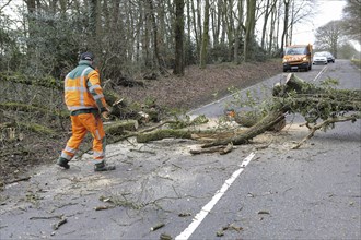 Worker clears tree from the road after a storm