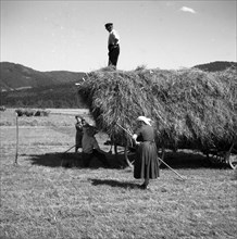 Women sweep hay and farmer stands on the hay cart
