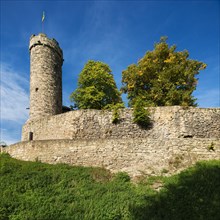 Ruin of Greifenstein Castle