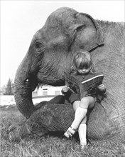 Girl sits on elephant and reads
