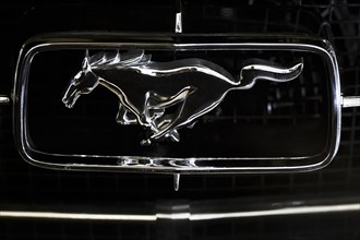 Detail Ford Mustang logo