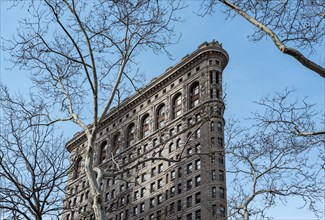 Tree and Flatiron Building