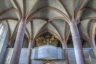 Organ gallery and Gothic vault