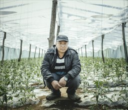 Greenhouse worker