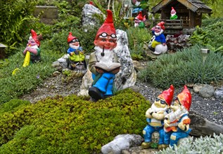 Several Garden gnomes