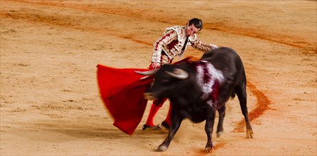 Bull with Matador