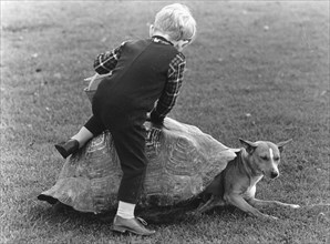 Child and a dog playing with a turtle shell