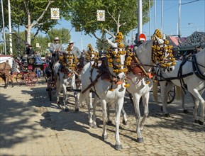 Decorated horse-drawn carriage