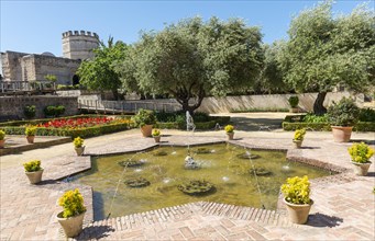 Fountains