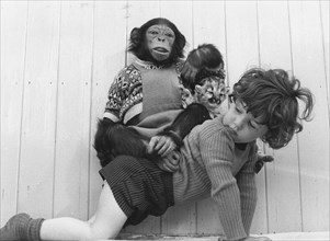 Child carries chimpanzee and baby lion on his back