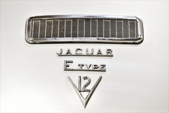 Rear Detail Jaguar E-Type V12