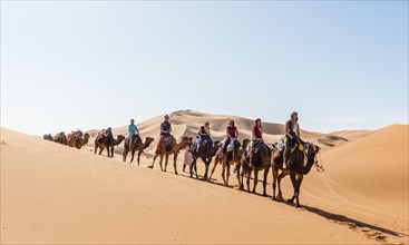 Tourists ride on Dromedary (Camelus dromedarius)