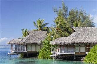 Bungalows by the sea with palm trees