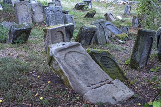 Gravestones in a Jewish cemetery