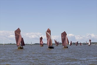 Zeesboots on Saaler Bodden