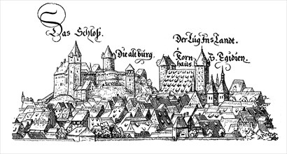 Illustration of the old castle and houses of Nuremberg