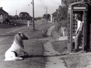 Man on the phone in a payphone box. His pony is waiting