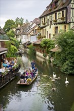 Tourists in a bark and swans on the river Lauch