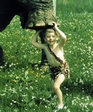 Child under elephant foot