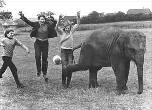 Children play with an elephant ball