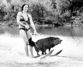 Woman with dog rides water ski