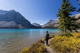 Hiker at Bow Lake