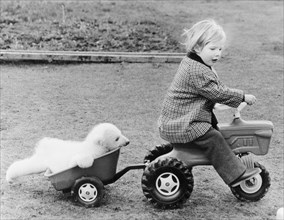 Little polar bear and girl with toy car
