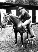 Man climbs with stool on horse ca. 1970s