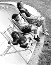 Family with chimpanzee relax at the pool