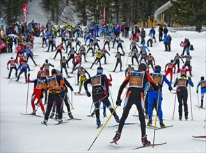 Cross-country skiers at the Engadin Skimarathon in the Stazer Wald