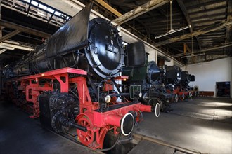 Steam locomotives in the locomotive shed