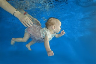 Infant girl dives in a pool with hands of her mother holding it