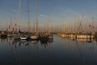 Sailboats in the marina Maasholm