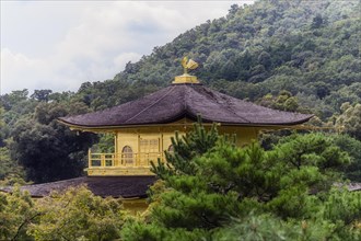 Kinkaku-ji