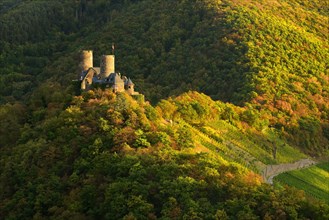Thurant Castle surrounded by woods and vineyards in autumn