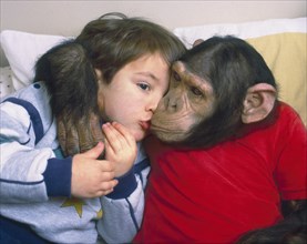 Chimpanzee and boy cuddling
