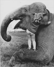 Girl whispers elephant in ear