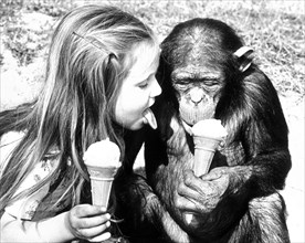 Chimpanzee and child eat ice cream together