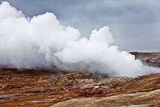 Water vapour in the geothermal area Gunnuhver