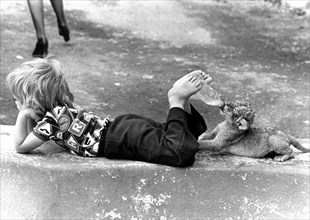 Little boy feeding baby lion with a bottle out of his feet