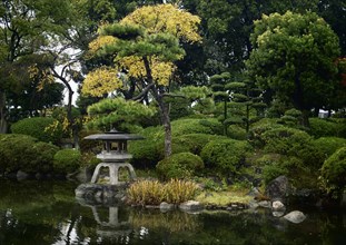 Japanese Zen garden with a lantern and a pond