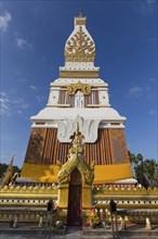 Chedi of Wat Phra That Phanom