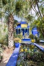 Blue House in the Jardin Majorelle Botanical Garden